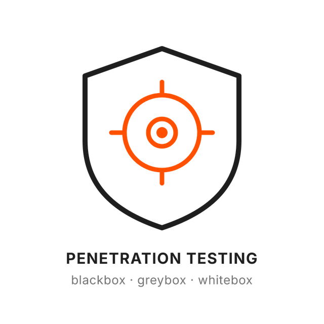 Penetration Testing & VAPT
